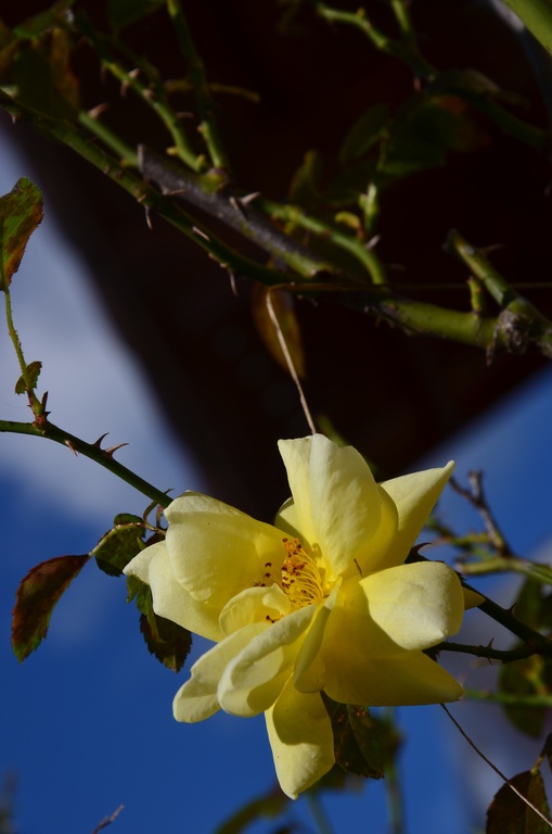 2017-09-23 Boëge/DSC_0119.JPG